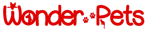 Wonder Pets LLC